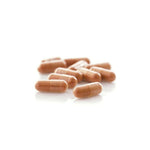 Erawadee No.21 Reishi Mushroom Capsules Daily for Everyday Immune Support