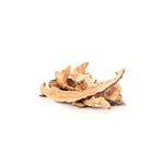 Erawadee T6 Lingzhi Reishi Mushroom Tea Caffeine Free for Daily Immune Support 50 g