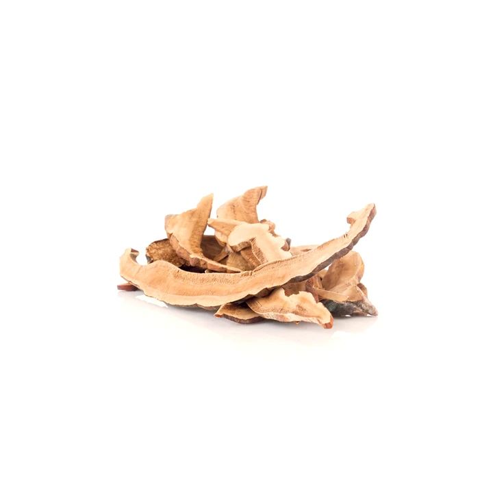 Erawadee T6 Lingzhi Reishi Mushroom Tea Caffeine Free for Daily Immune Support 50 g