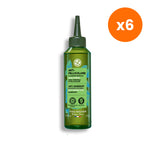 Yves Rocher Anti Dandruff Organic Peppermint Scalp Treatment Lotion for Scalp Care 150 ml – 6 pack bundle