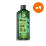 Yves Rocher Anti Dandruff Organic Peppermint Treatment Shampoo for Scalp Care 300 ml – 6 pack bundle