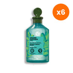 Yves Rocher Refresh Vinegar with Moringa Rinsing Lotion for Scalp Care 150 ml – 6 pack bundle