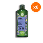 Yves Rocher Volume Quinoa Peptide Plumping Shampoo for Hair Volume 300 ml – 6 pack bundle